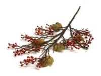 salg af B�rgren r�d/orange 80 cm.