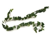 salg af Efeu natasja 180cm