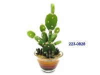 salg af Kaktus 16cm