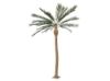 salg af Palme 280 cm.