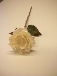 salg af Glasrose Cream hvid