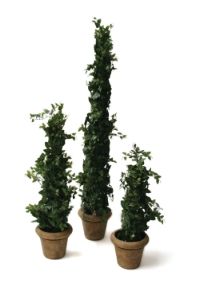 salg af Efeu natasia 190 cm.
