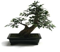 salg af Bonsai 23 cm. med sk�l