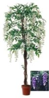 Wisteria hvid 180 cm.