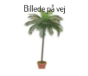 produktbillede mangler