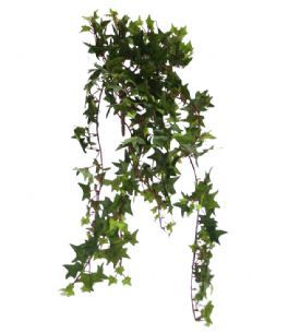 salg af Efeu busk, 60 cm. . kunstige planter