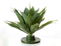salg af Agave, 43 cm. - kunstige planter