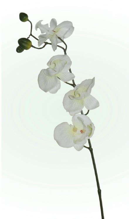 salg af Hvid orkidegren, 57 cm. - kunstige blomster