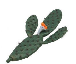 salg af Kaktus, 35 cm. - kunstig plante