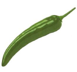 salg af Grøn chili, 20 cm. - kunstige grønsager