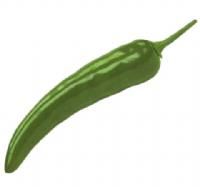 salg af Grøn chili, 20 cm. - kunstige grønsager