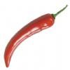salg af Kunstig chili, rød - L20 cm.