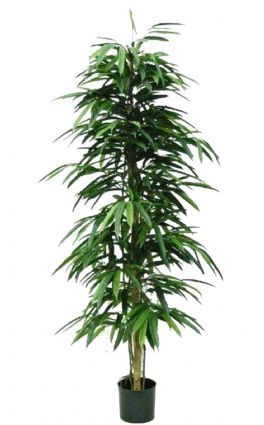 salg af Kunstig longifolia, H140 cm.