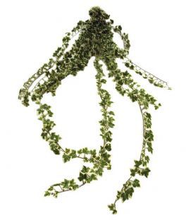 salg af Efeu busk, broget - 120 cm. - kunstige planter