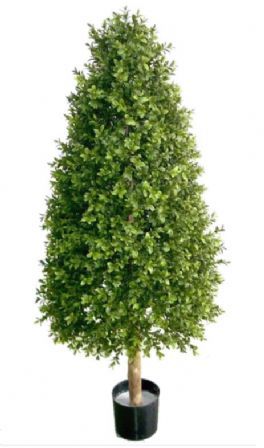 salg af Kunstig buksbom kegletræ, H175 cm.