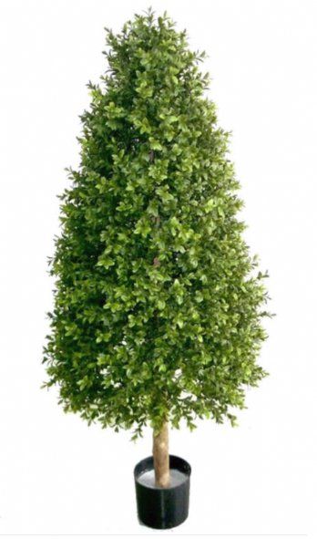 salg af Kunstig buksbom kegletræ, H175 cm.