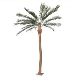salg af Palme, 280 cm. - kunstige palmer