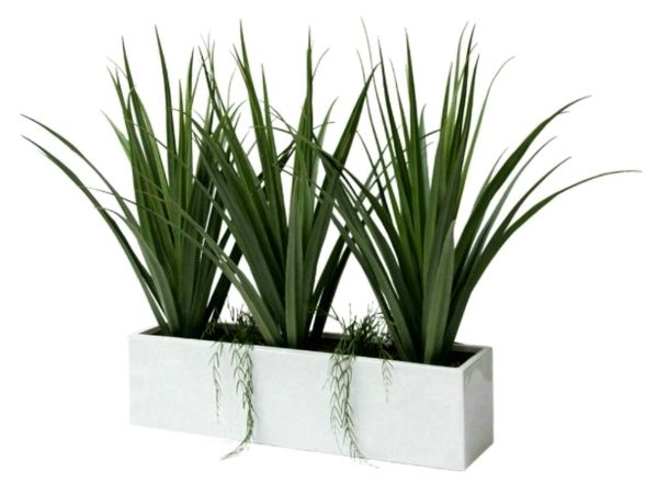 Plantekasse med hjul uden planter l 119 x b 32 x h 29,5 cm krukker ... Hjul til krukker