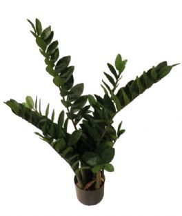 salg af Zamifolia, 90 cm. - kunstig plante