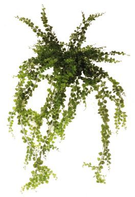 salg af Maidenhair, 110 cm. - kunstige planter