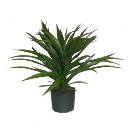 salg af Yucca, 55 cm. - kunstige planter