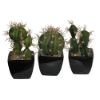 salg af Kunstig kaktus sæt, 3 ass. - 15 cm. - kunstige planter