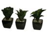 salg af Kunstig sukkulenter, 13 cm. - kunstige planter