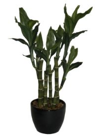 salg af Bambus, 40 cm. - kunstige planter