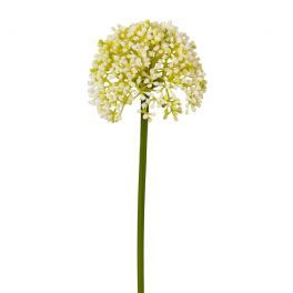 salg af Kunstig allium, creme - 36 cm.