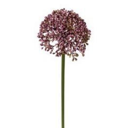 salg af Allium, lilla - 36 cm. - kunstige blomster