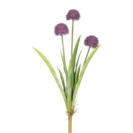 salg af Allium, lilla - 60 cm. - kunstige blomster