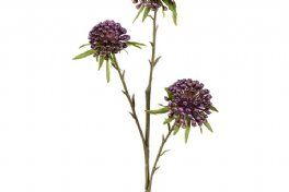 salg af Allium, llila - 60 cm. - kunstige blomster