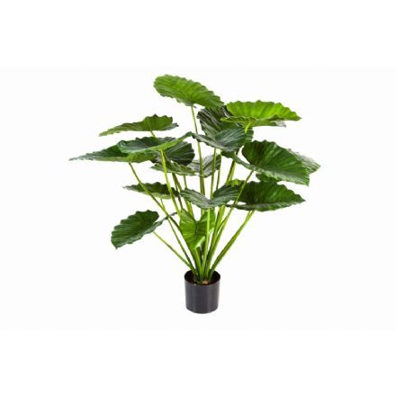 salg af Alocasia, 95 cm. - kunstige planter