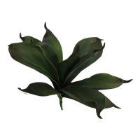 salg af Aloe plante uden potte - 30 cm. - kunstige planter