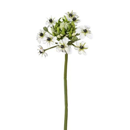 salg af Ornithogalum, hvid - 66 cm. - kunstige blomster