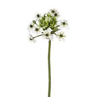 salg af Ornithogalum, hvid - 66 cm. - kunstige blomster