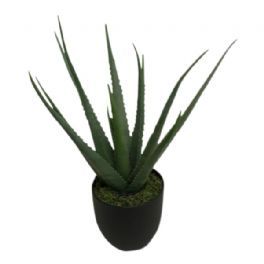 salg af Aloe vera, 64 cm. - kunstige planter