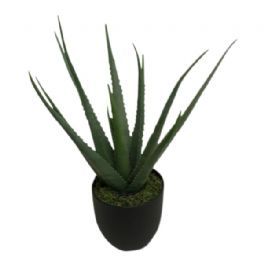 salg af Kunstig aloe vera, H64 cm.