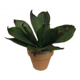 salg af Alovera plante med lerpotte - 30 cm. - kunstige planter