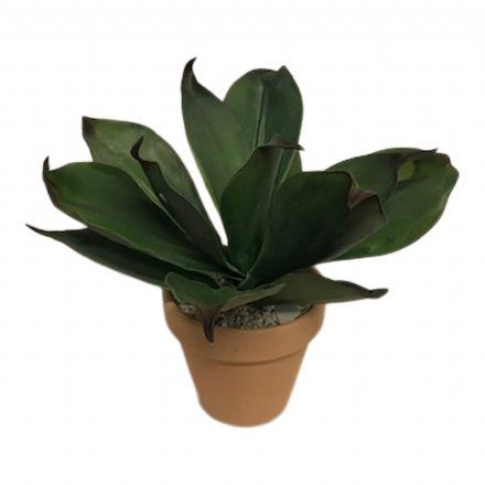 salg af Alovera plante med lerpotte - 30 cm. - kunstige planter