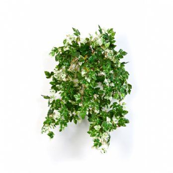 salg af Kunstig ampelopsis hængeplante, H54 cm.
