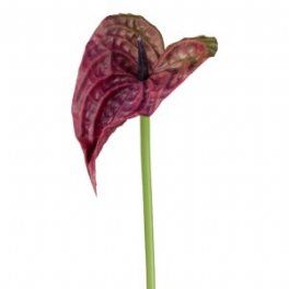 salg af Anthurium, 50 cm. kunstige blomster