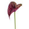 salg af Kunstig Anthurium, bordeaux - H50 cm.
