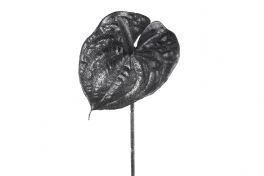 salg af Kunstig anthurium, H75 cm. - kunstige blade