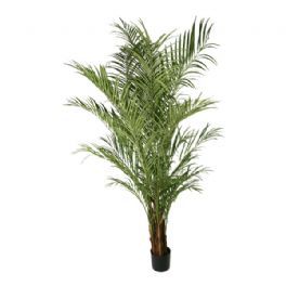 salg af Kunstig areca palme, H170 cm.