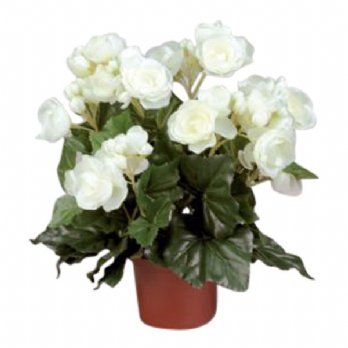 salg af Kunstig hvid begonia, H30 cm.
