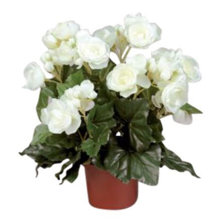 salg af Kunstig hvid begonia, H30 cm.
