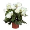 salg af Kunstig hvid begonia, H30 cm.