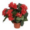 salg af Kunstig rød begonia, H30 cm.