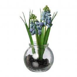 salg af Blå perlehyasint i glas, H15 cm. - kunstige planter